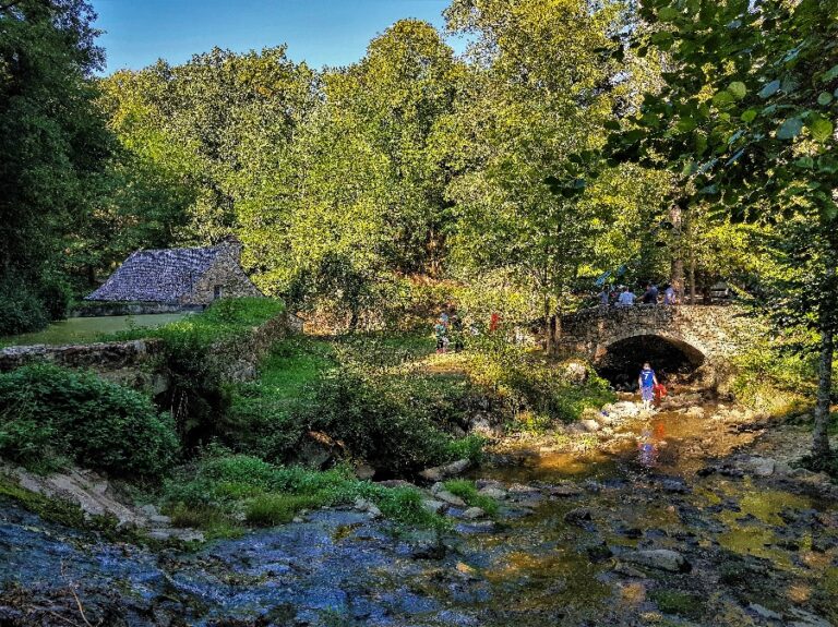 Les Martinets du Lézert à La Bastide l&rsquo;Evêque