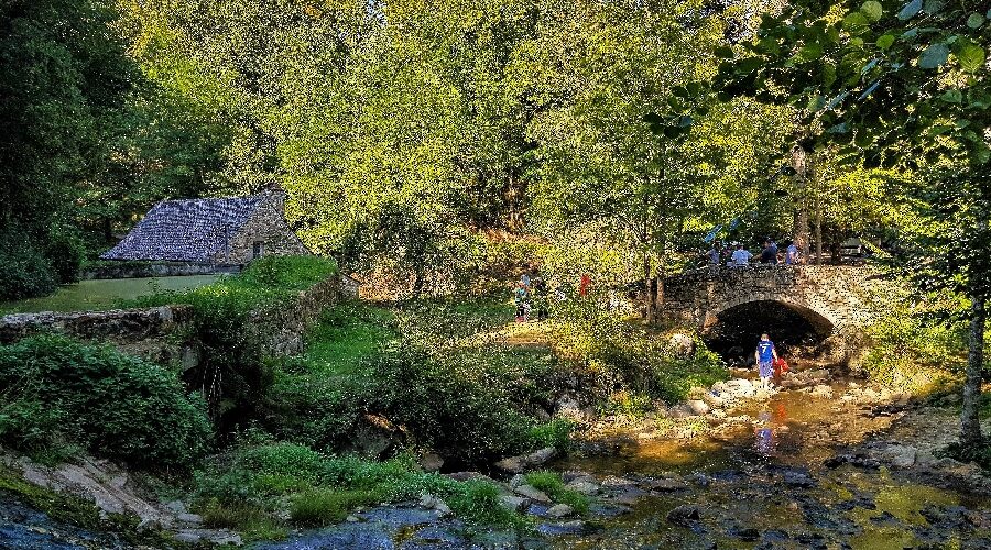 Les Martinets du Lézert à La Bastide l'Evêque