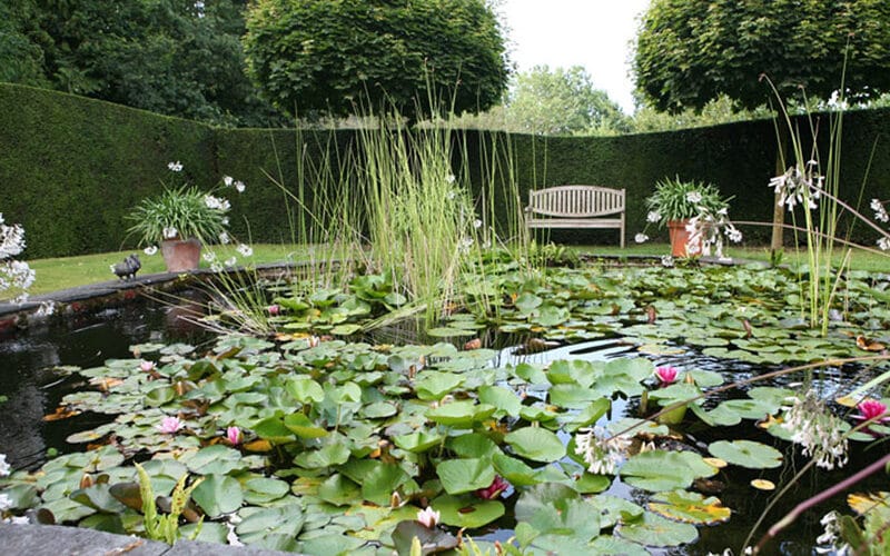 Les Jardins de Castillon