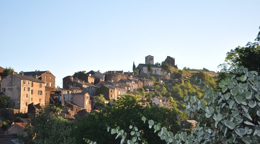 Combret