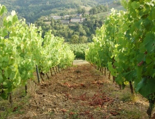 Domaine de Limagne