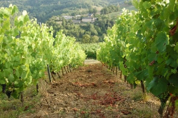 Domaine de Limagne