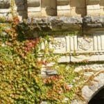 Chartreuse de Fareyrou