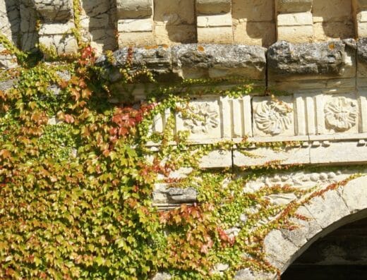 Chartreuse de Fareyrou