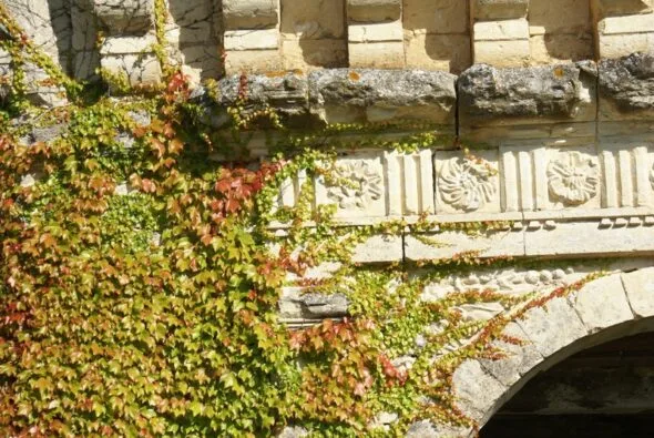 Chartreuse de Fareyrou
