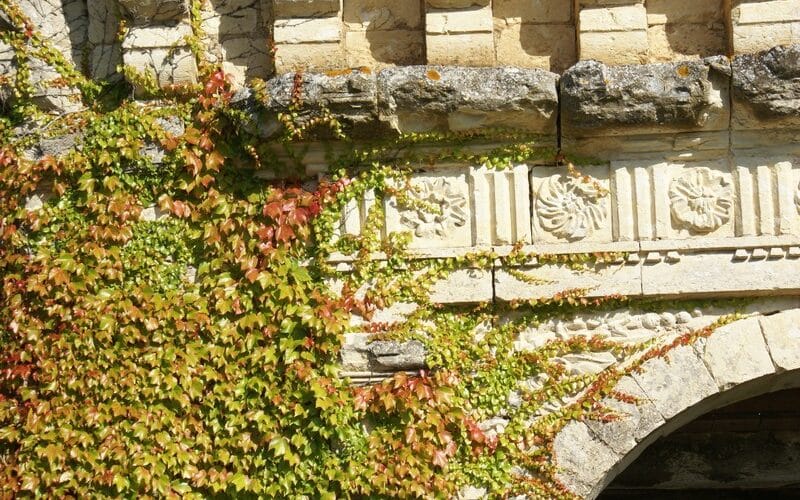 Chartreuse de Fareyrou