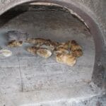 Four à Pain de Charchenay