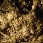 Caverne de Bara Bahau - Le Sanctuaire de l'Ours