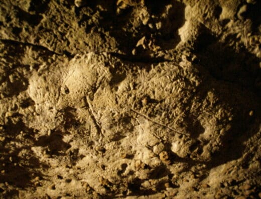Caverne de Bara Bahau - Le Sanctuaire de l'Ours