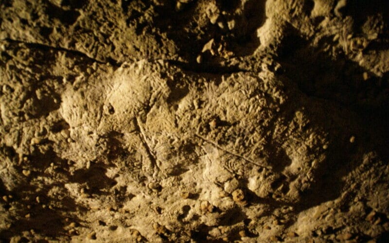 Caverne de Bara Bahau - Le Sanctuaire de l'Ours