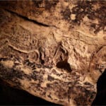 Grotte Préhistorique du Sorcier