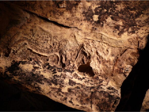 Grotte Préhistorique du Sorcier
