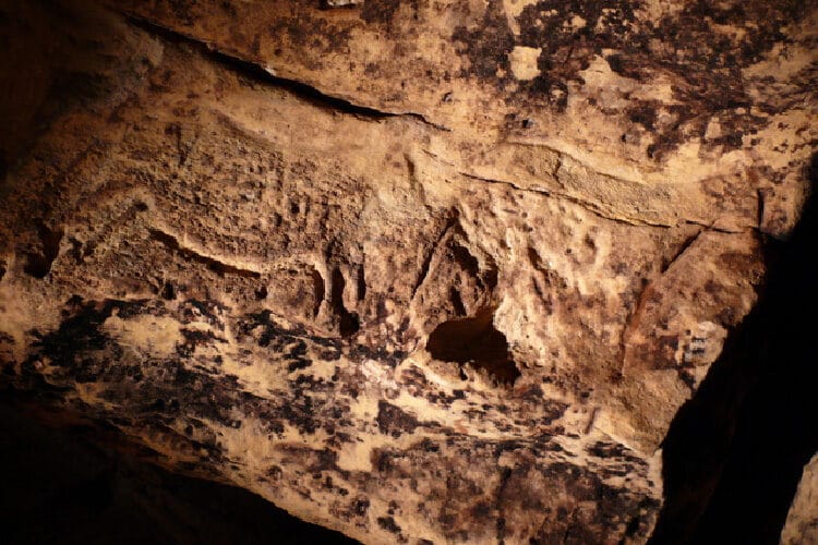 Grotte Préhistorique du Sorcier