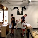 Espace Archéologique Départemental de Montrozier