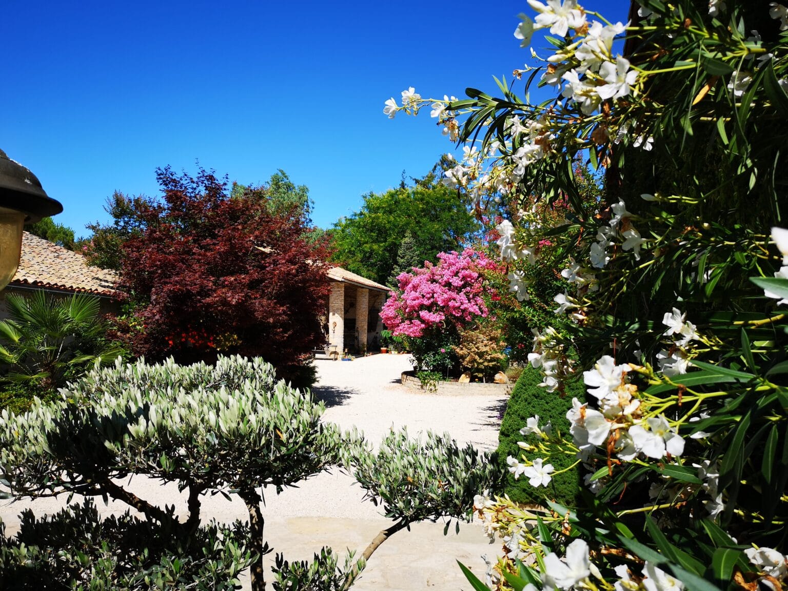 Jardin du Vieux Colombier