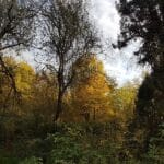 Le jardin d'hélys-oeuvre