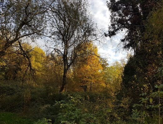 Le jardin d'hélys-oeuvre