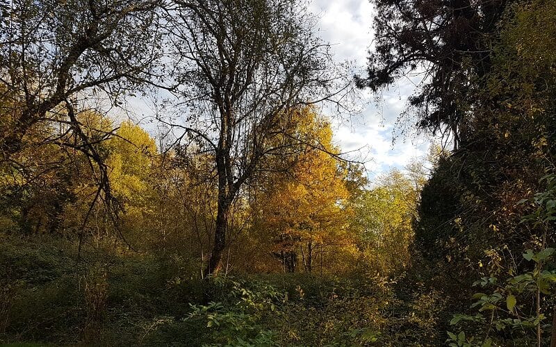 Le jardin d'hélys-oeuvre