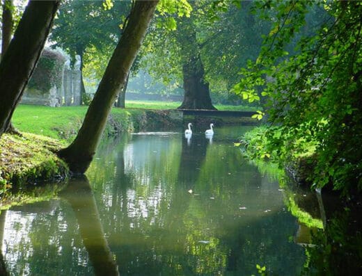 Parc et Jardins du Château de Canon