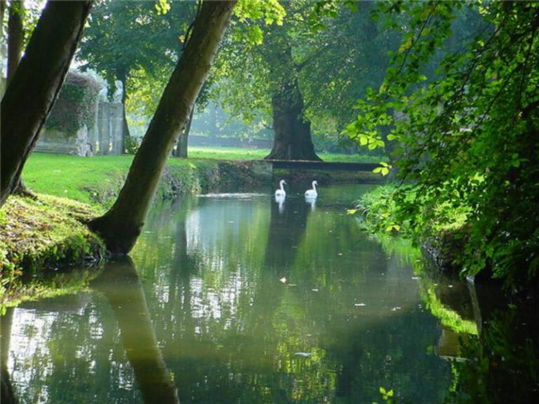 Parc et Jardins du Château de Canon