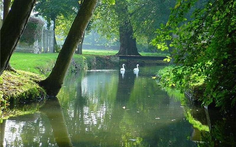 Parc et Jardins du Château de Canon