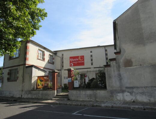 Musée des beaux-arts et d'histoire naturelle