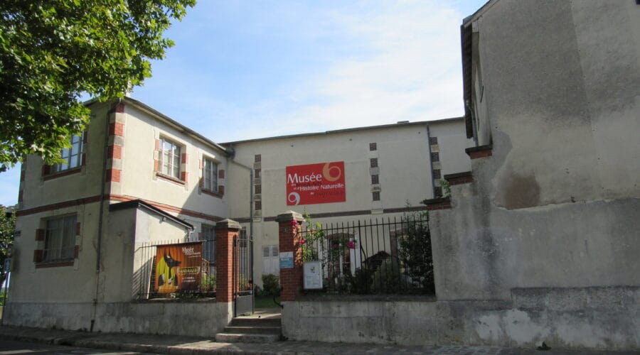 Musée des beaux-arts et d'histoire naturelle