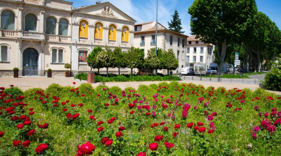 MUSÉE DES BEAUX ARTS DE CARCASSONNE