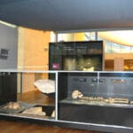 Musée national de Préhistoire