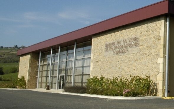 Maison de la Vigne