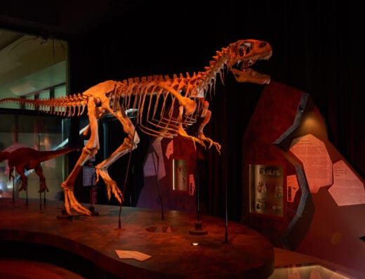 Le Paléospace - Musée de France