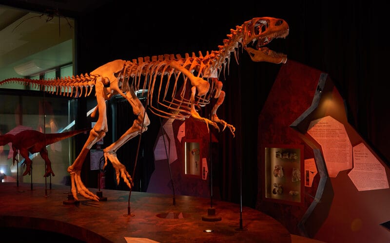 Le Paléospace - Musée de France