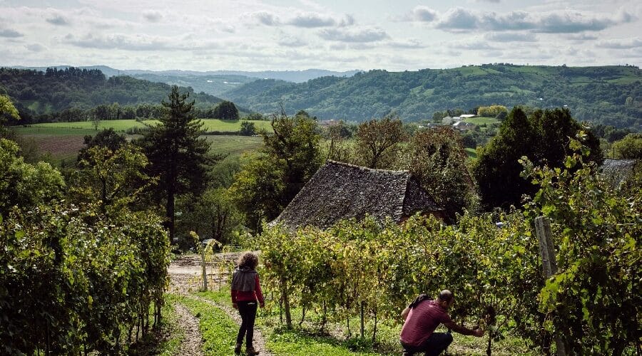 Domaine le Verdus