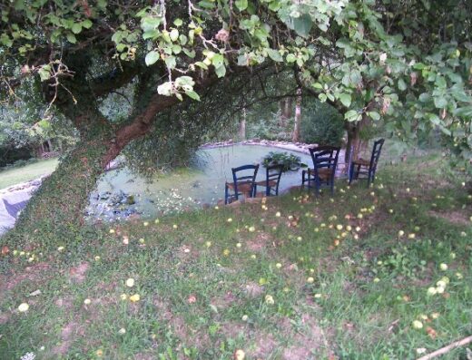 Jardin des enclos