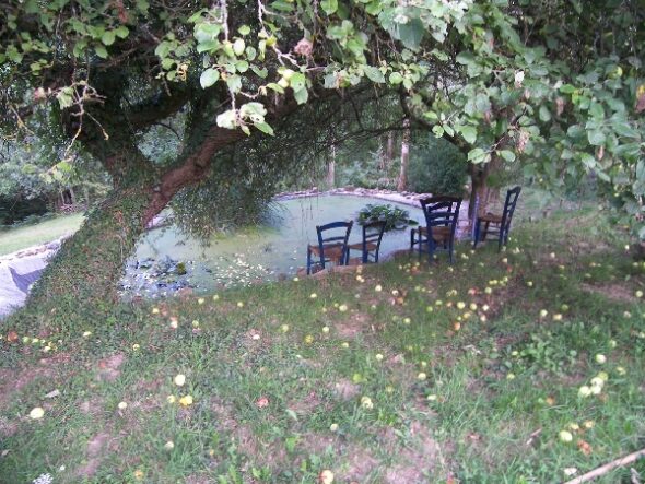 Jardin des enclos