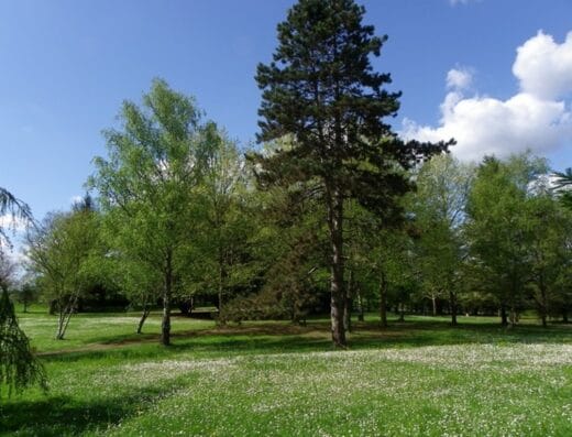 Le Parc Voulgre