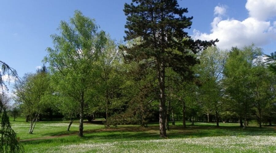 Le Parc Voulgre
