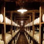 Caves Roquefort Société