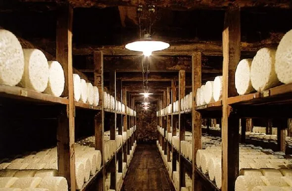 Caves Roquefort Société