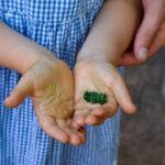 Jardin Conservatoire des Fleurs et Légumes