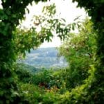 Le Jardin de la Mothe