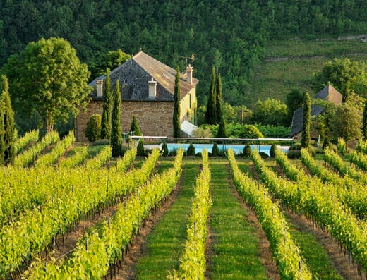 Domaine du Mioula