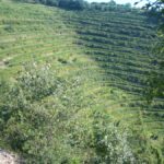 Domaine du Val Enchanté