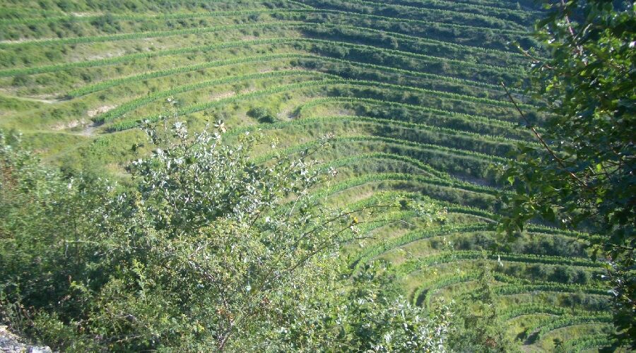 Domaine du Val Enchanté