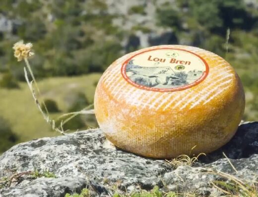 Fromagerie coopérative des Bergers du Larzac