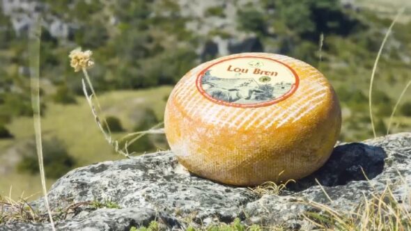 Fromagerie coopérative des Bergers du Larzac