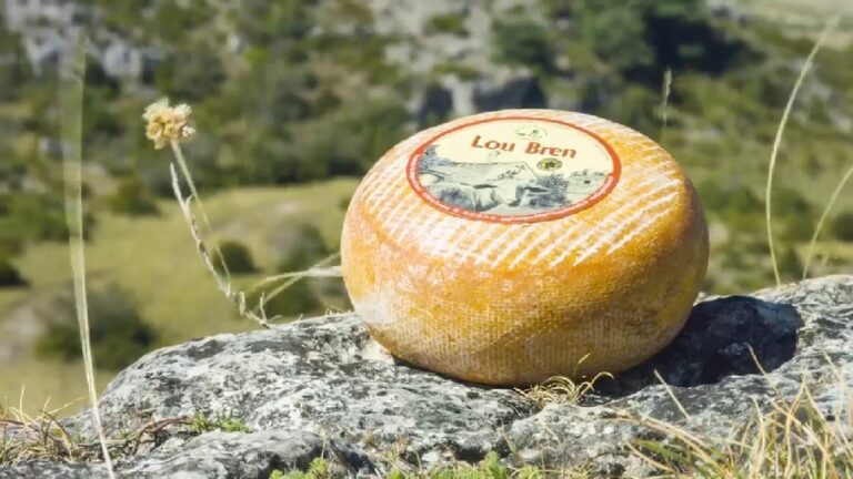 Fromagerie coopérative des Bergers du Larzac