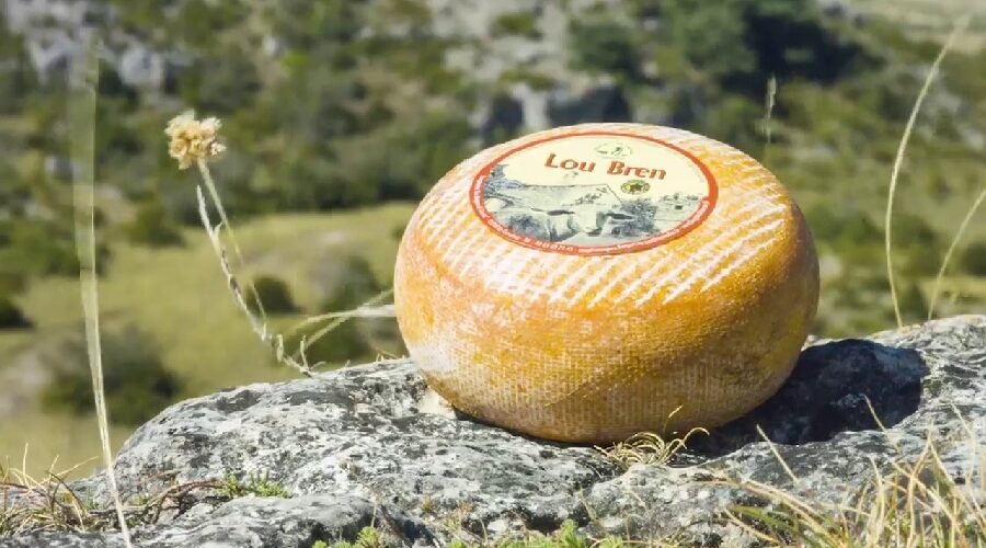 Fromagerie coopérative des Bergers du Larzac