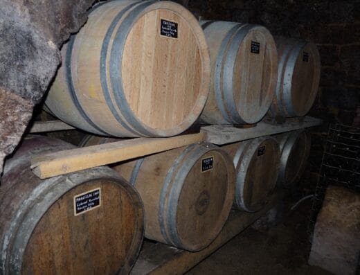 Domaine de l'Albinie