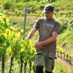 Domaine de la Carolie